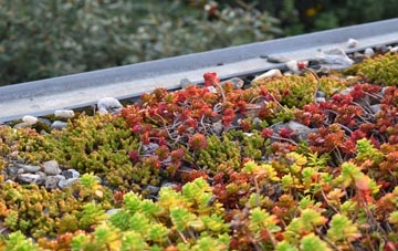 the cost of Ballygalley green roof installation