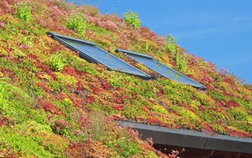Ballygalley living roof systems