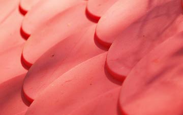 Ballygalley plastic roof costs