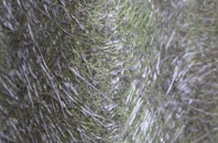 Ballygalley fibreglass roof work